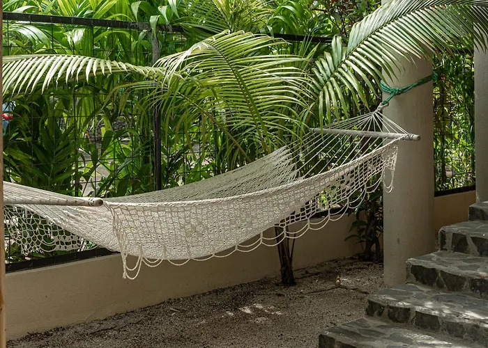 Hotel Rip Jack Playa Grande