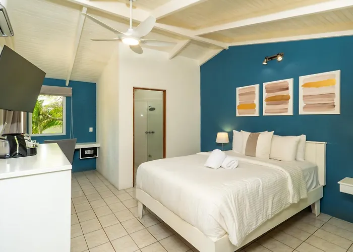 Rip Jack Hotel Playa Grande